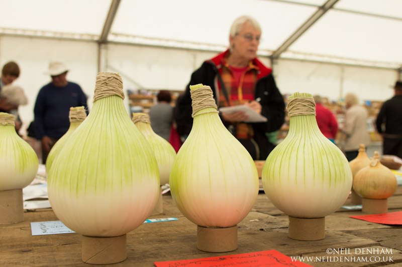 Judging in the industrial tent